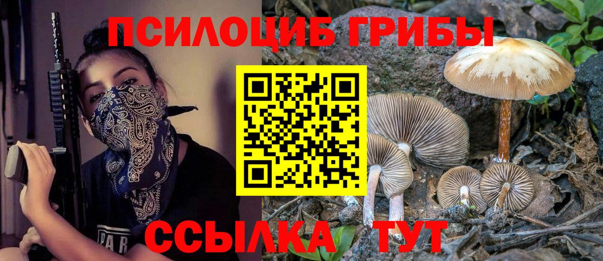 Омск  Галлюциногенные грибы мицелий  Псилоцибиновые грибы Psilocybe  Вход с VPN 